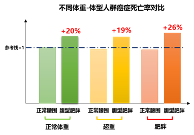 体重正常就能高枕无忧 肚子大更为致命