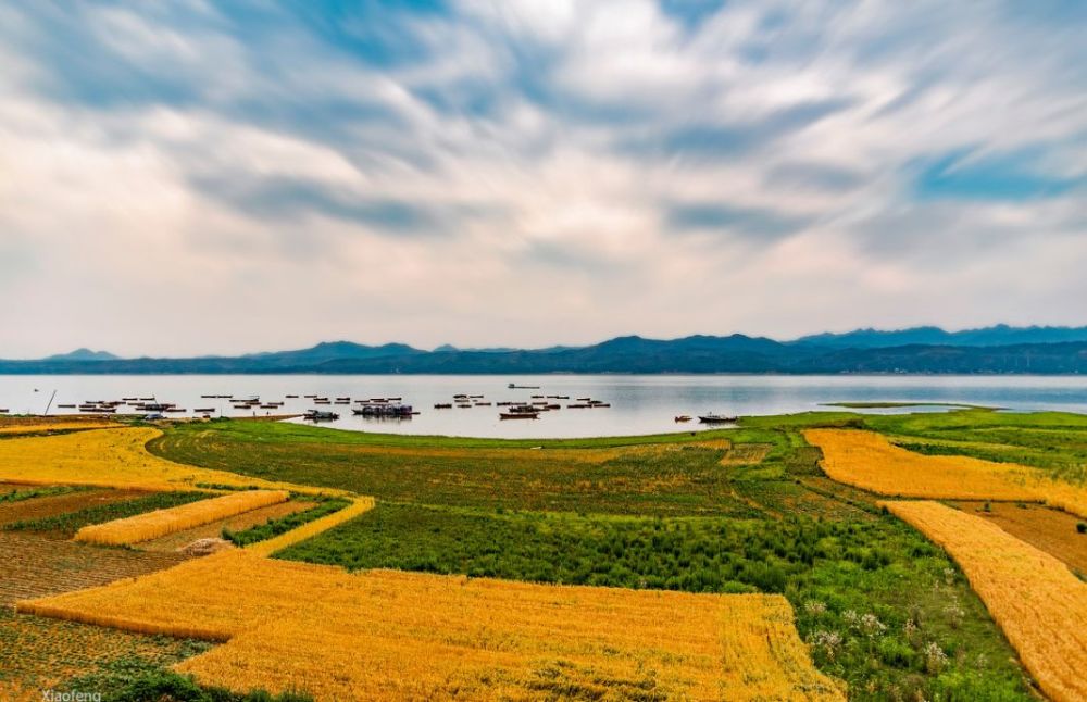 开学季!一大批人飘向远方,今日离别,此后更爱洛阳!