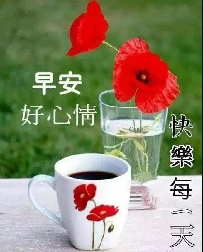 10月6日问候早上好图片带字动态表情早上好图片问候祝福语句子 腾讯新闻