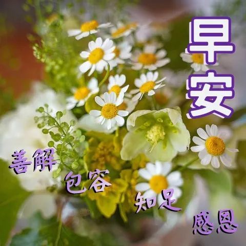 10月6日问候早上好图片带字动态表情早上好图片问候祝福语句子 腾讯新闻