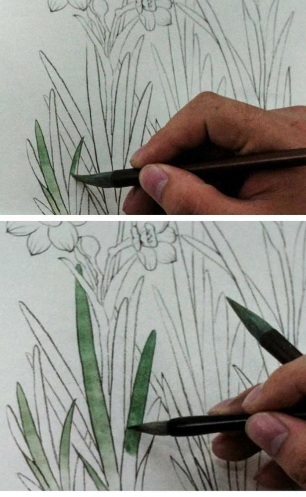 一起来画一幅工笔水仙