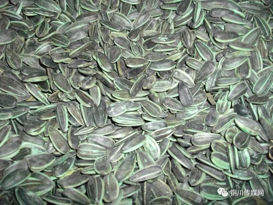 铜川一商店售卖西安产瓜子 霉菌4倍超标 被曝光下架