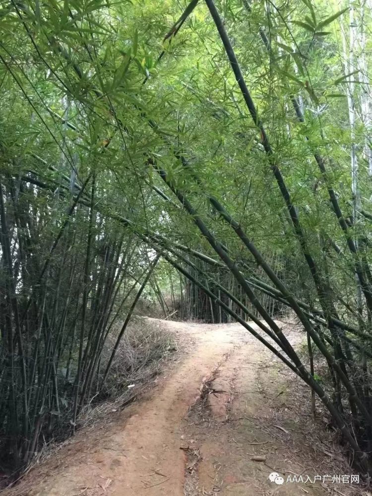 广州流动人口_广州市流动人口计划生育管理办公室:新春送温暖让流动人口“就