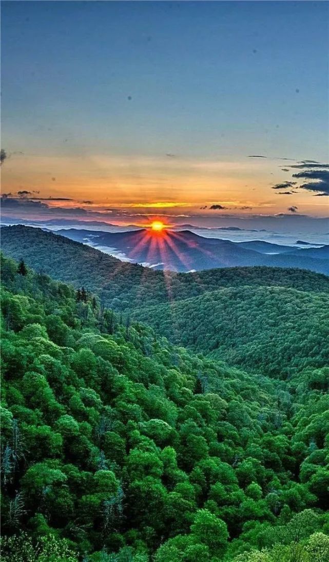 生机勃勃的风景