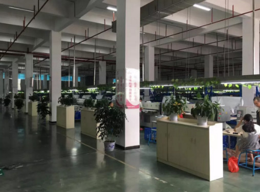 斯哌纹奇SP&WS 助力石城全媒体推广