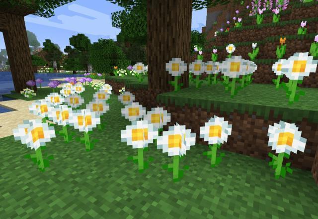 我的世界 影响有多大 12个画面告诉你 眼中的世界正在改变