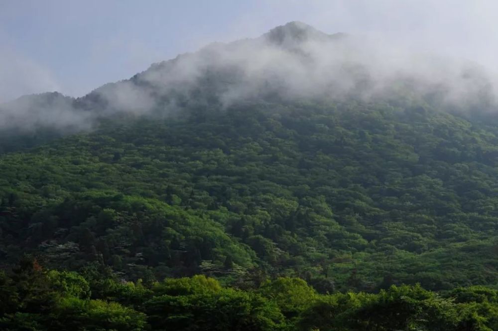 深度 这些美到极致的日本国立公园 你去过几个