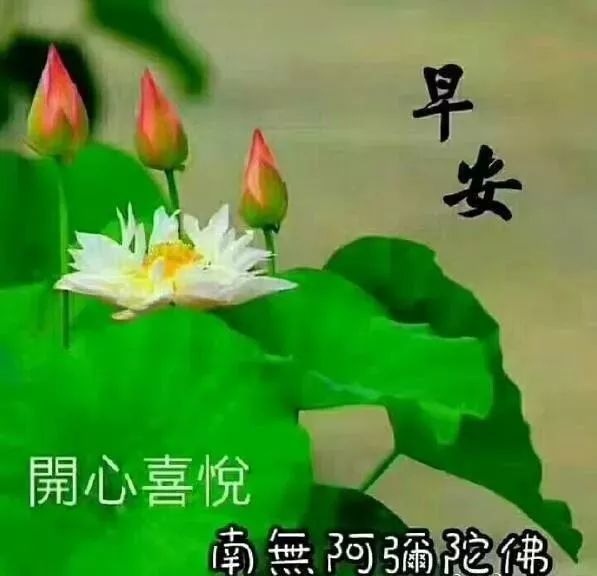 5月12日早上好問候祝福語最新漂亮動態圖,暖心的清晨好祝福語