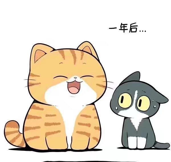 漫画橘猫好喜欢这个黄色小猫咪萌到我了