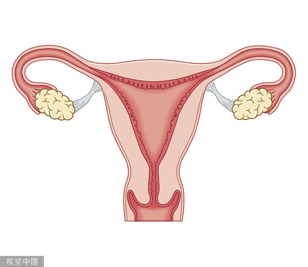 女人没了子宫,身体会发生什么改变?