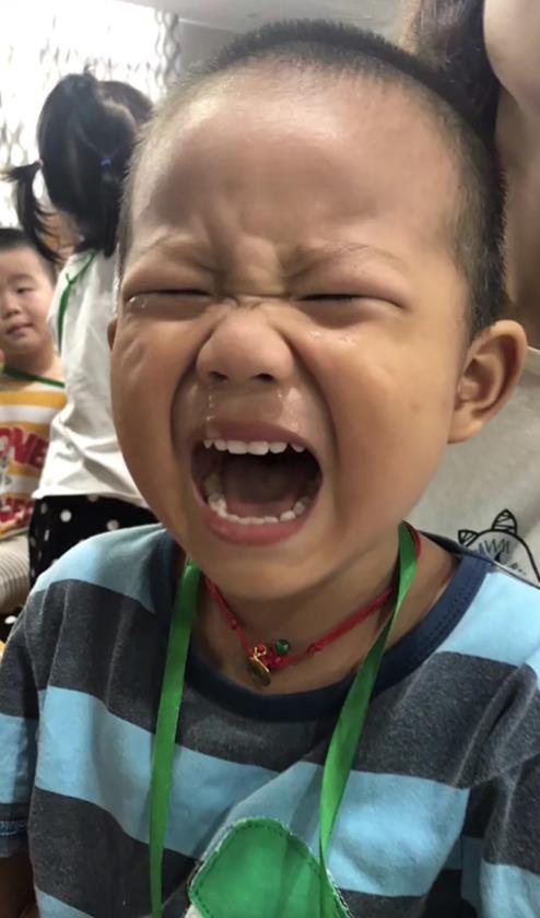 幼儿园开学了,大型儿童苦情灾难片正在热映,老师:我太难了