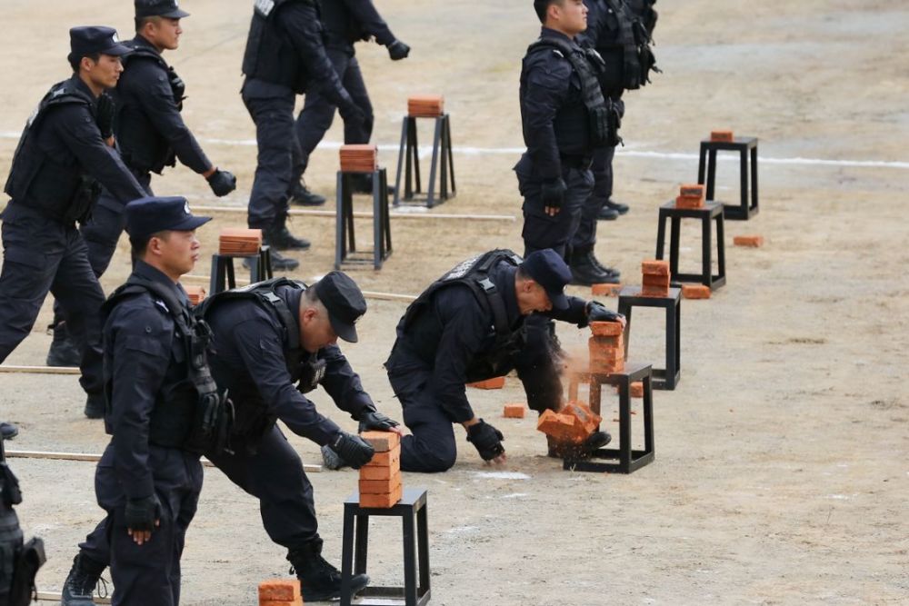 基礎科目演練:武警刺殺操,特警硬氣功,防暴槍戰術隊形演練