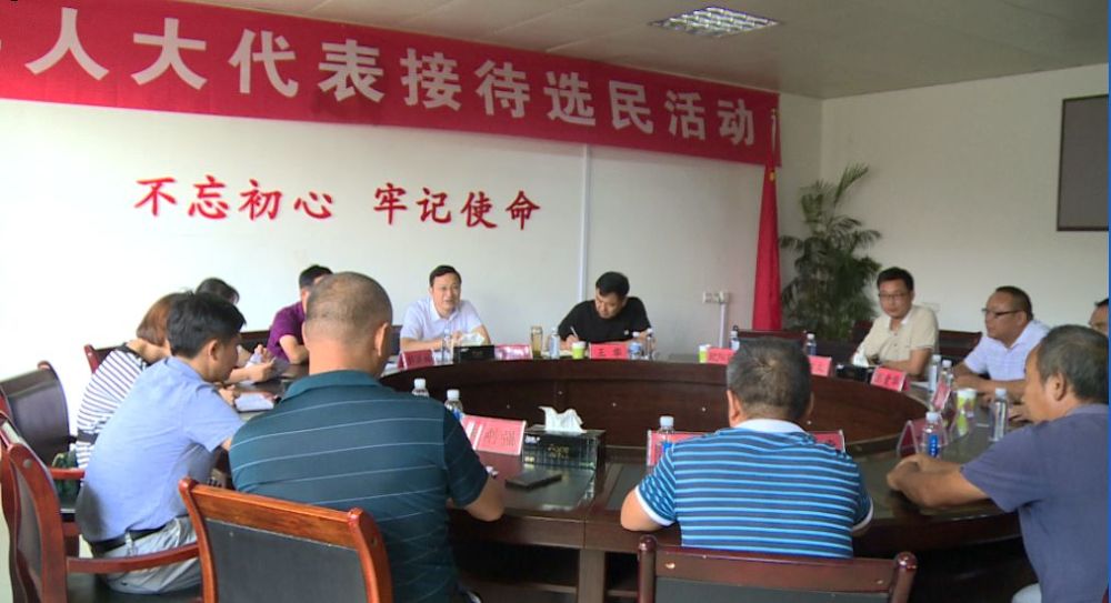 县人大常委会主任杨红大以普通人大代表身份开