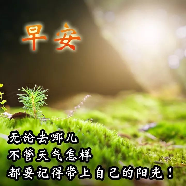 2020超级漂亮早上好问候祝福语动态图片带字清楚早安问候语阳光句子