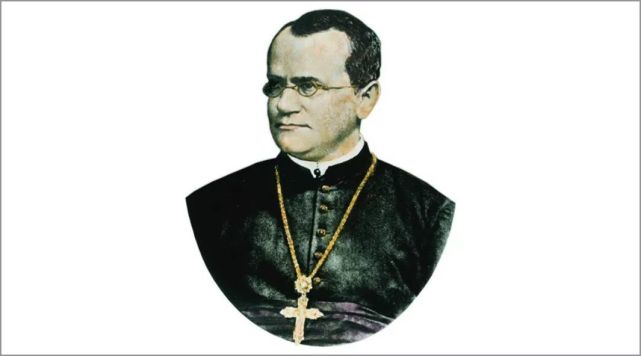 孟德尔诞辰200周年:一个超越时代的天才,和他留下的科学遗产_腾讯新闻