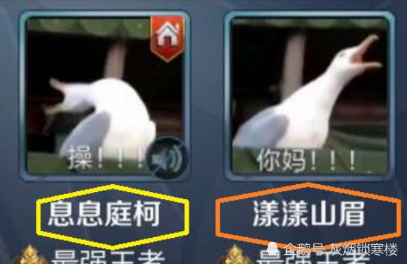 酸臭味 的王者情侣名 队友看了很抓狂 对手 举报走一波