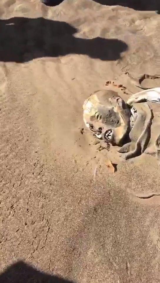 户外团队新疆无人区发现干尸可能是刘银川彭加木或余纯顺吗