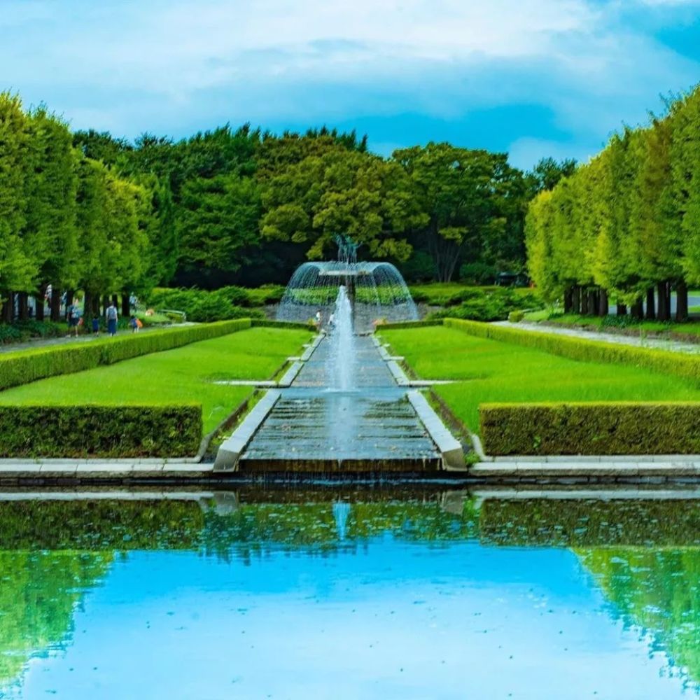 秋天赴日赏红叶攻略 错过这一次 又要等一年了