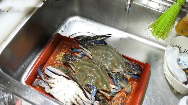 日本小伙买3只梭子蟹 腌着吃 宁波网友看到有话说 螃蟹挑错了