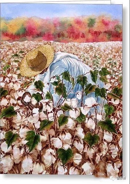 我多想回到家乡,在外多年,在家后面的那片棉花田妈妈总伴我在摇篮边当