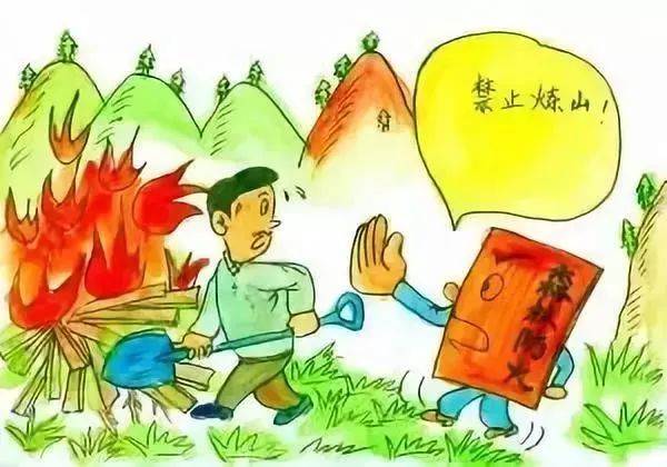 【護林防火專項整治】森林草原防滅火小知識