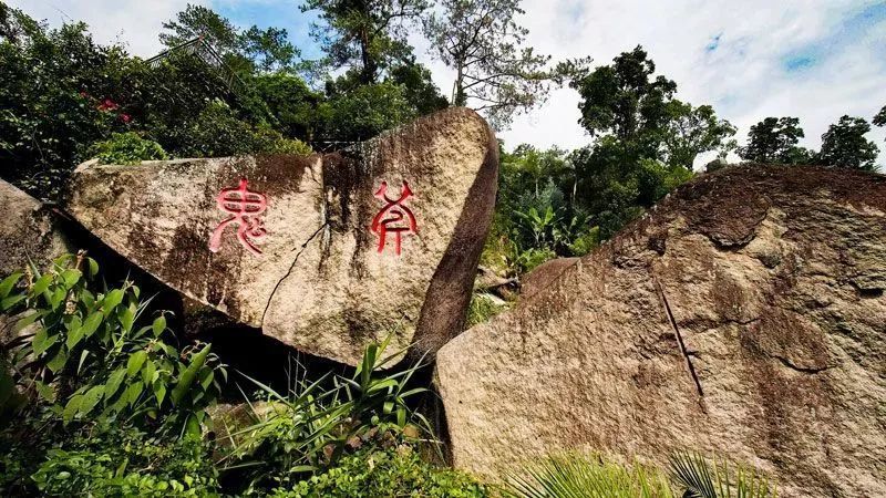 258元送10斤大米長泰天柱山歡樂大世界一日遊