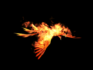 中国凤凰博尔赫斯