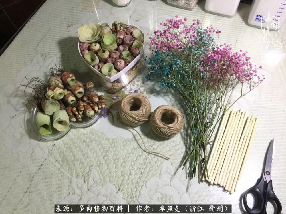 山地玫瑰还可以这么玩 附山地玫瑰花束diy教程