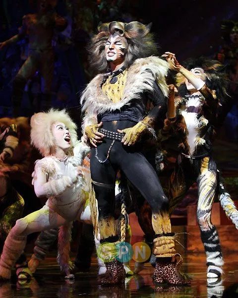 这也太sexy了 !声儿音乐剧《cat》剧照: