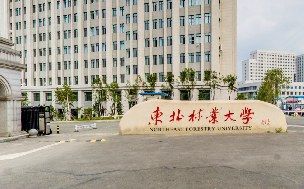 7,东北林业大学——东北林业大学王牌专业的录取分会比较高一些,重心