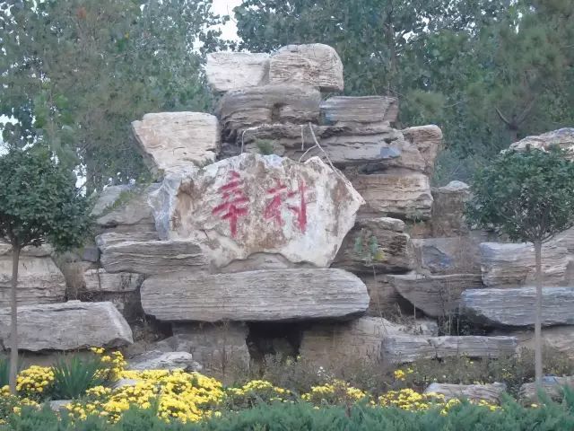 美丽乡村文安行之十四睡莲飘香水上凉亭景色独一无二的北辛村