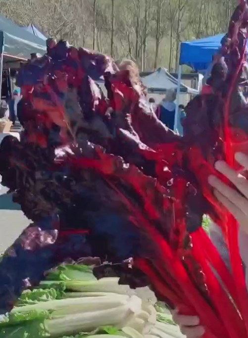 老外喜欢吃啥菜?这个新西兰人爱吃的国民蔬菜