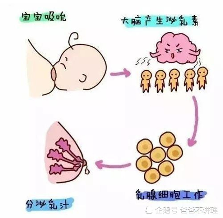 给孩子断奶时 涨奶了要用吸奶器吸出来吗 专家 多余
