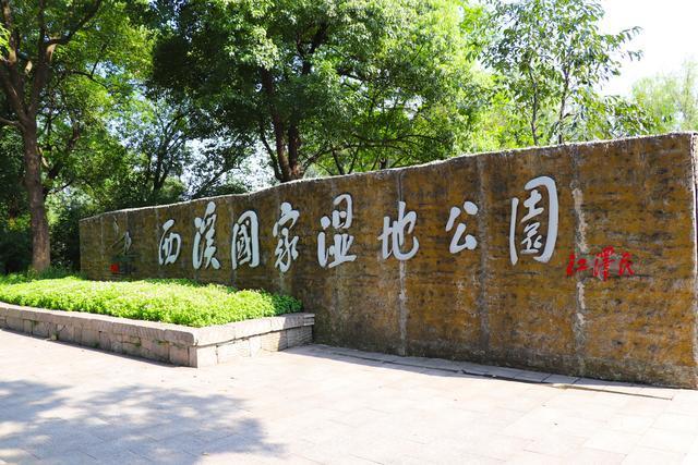 杭州西溪 中国第一国家湿地公园 这样玩儿看尽美景还不花钱