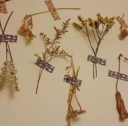 治愈系 原宿风 背景图 我想我是真的喜欢你 不然怎么总是想起你 腾讯新闻