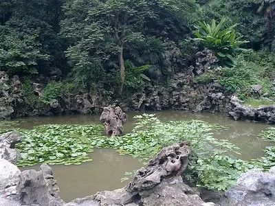 伯先公園往事:荷花池和那些假山,鎮江的太湖石很有來歷!