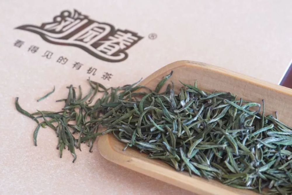 日照绿茶健康中国系列访谈浏园春看得见的有机茶