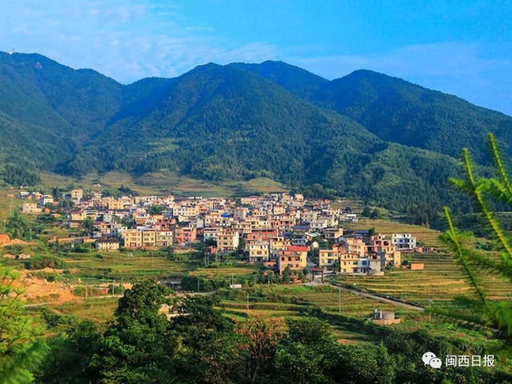 近日,记者走进位于武平县武东镇境内的革命基点村——张畲村,这个坐落