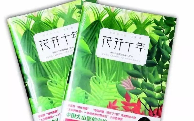 喵吉电竞圈