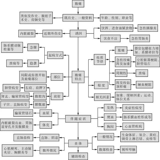 静脉知识点结构图图片