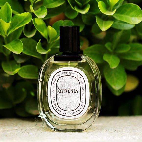 迷人的女孩魅力无处安放——只因她们用了这3款冷冽香水