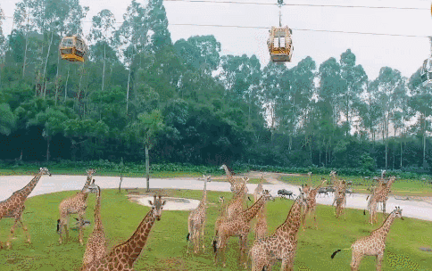 太原動物園9月28日開放!