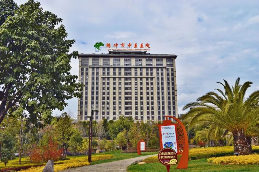 杏林科普药食同源刺五加