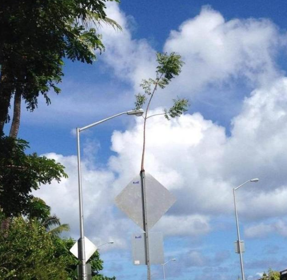 世界上10张"出乎意料"的照片,这难道是拥有超能力吗?