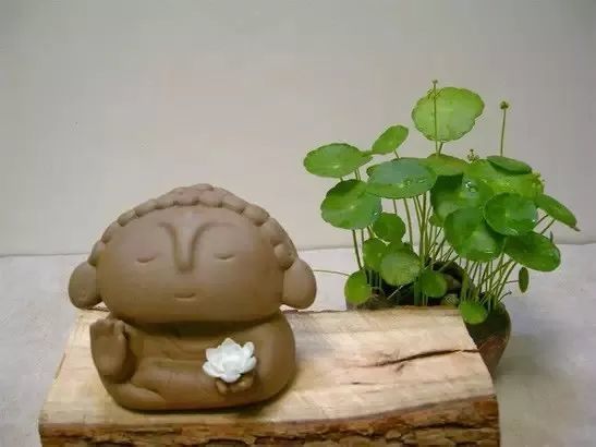 苏州博物馆|世界上最便宜的长寿药，就一个字！