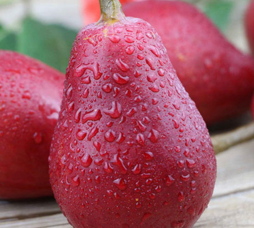 这种梨颜色鲜红形似葫芦放软后可用吸管吸着吃一般人没吃过