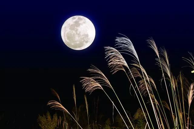 临风一叹无人会 今夜清光似往年