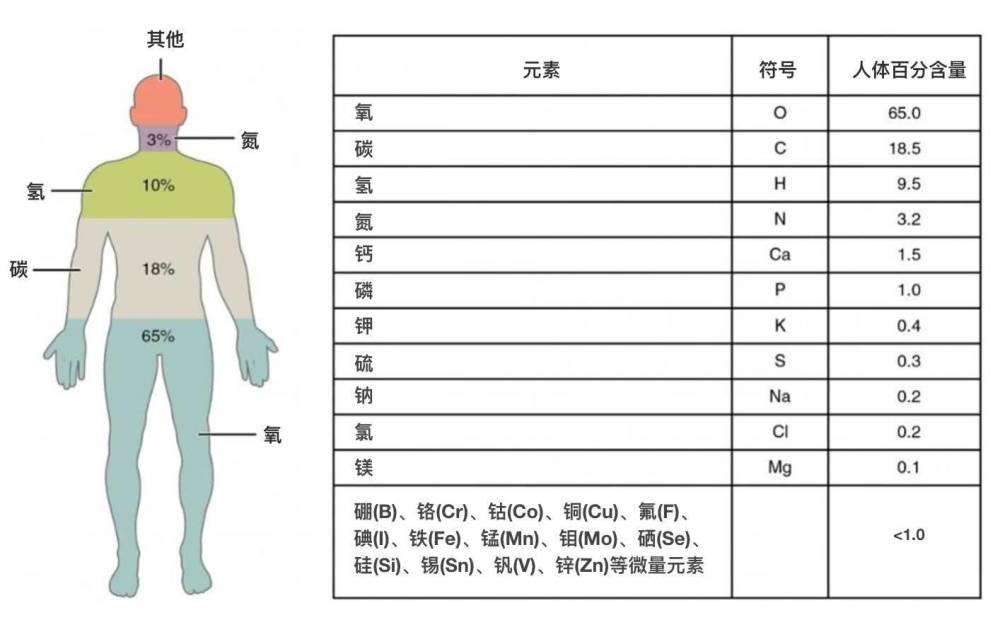 轻元素和重元素是如何形成的 从元素起源看我们的来处 腾讯新闻