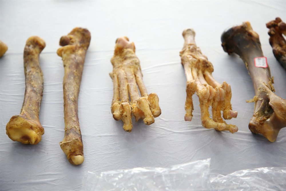 华南虎之殇华南虎是怎么一步步走向濒临灭绝的