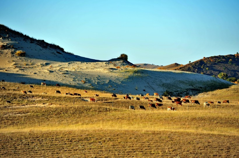 九月下旬好运接踵而至,这些月份出生的人贵人